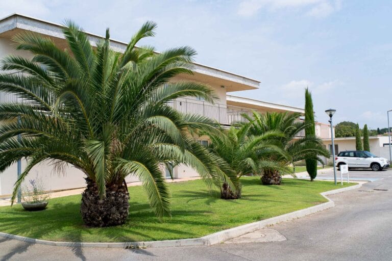 allotel-facade-parking-et-palmiers-fos-sur-mer